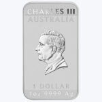 Perth Mint 2025 Dragon Silver Bullion - 1 Oz