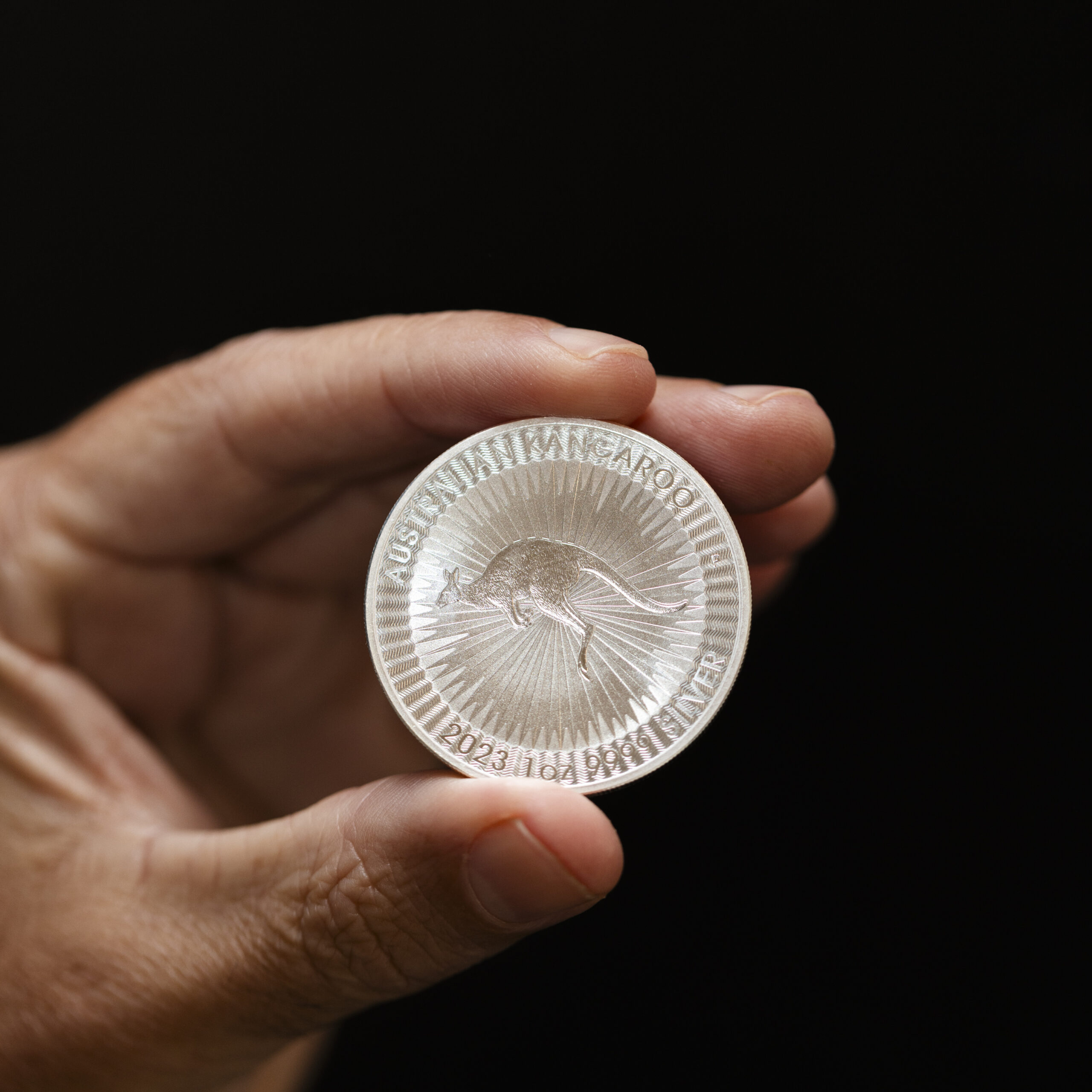 SMSF bullion audit service